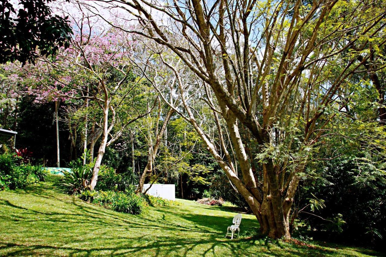 Maleny Monet Studio 외부 사진